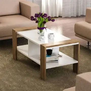 Balina Modern Design Coffee Table