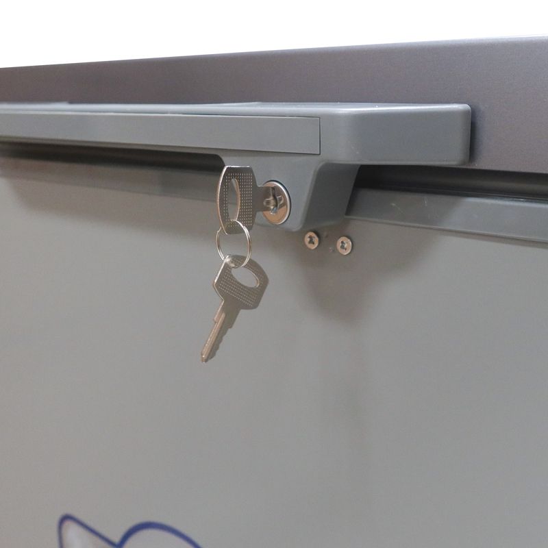 ECOMAX 169L Large Chest Freezer BD-169 Stay-Open Lid Top Open Door Freezing Machine