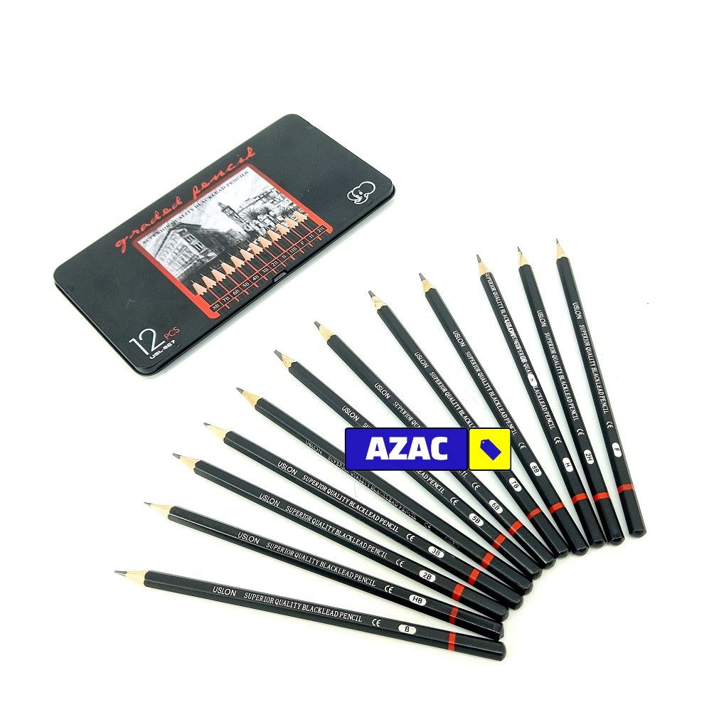 12PCS Graded Black Lead Charcoal Pencils Set 8B, 7B, 6B, 5B, 4B, 3B, 2B, B, HB, F, H, 2H