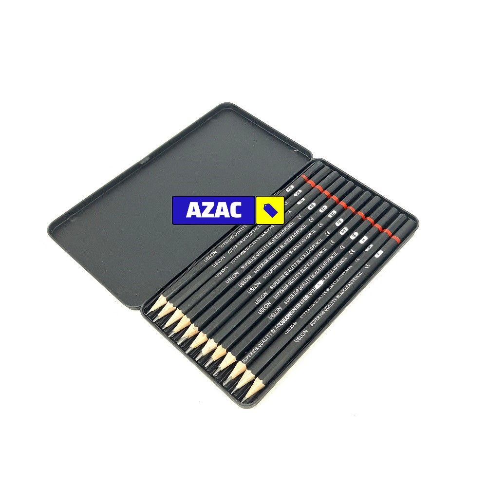 12PCS Graded Black Lead Charcoal Pencils Set 8B, 7B, 6B, 5B, 4B, 3B, 2B, B, HB, F, H, 2H