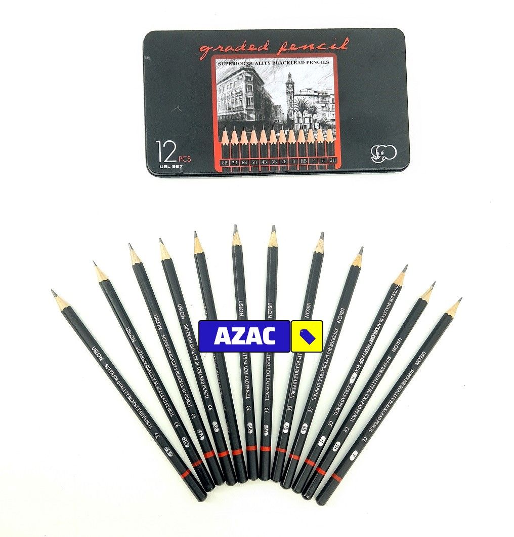 12PCS Graded Black Lead Charcoal Pencils Set 8B, 7B, 6B, 5B, 4B, 3B, 2B, B, HB, F, H, 2H