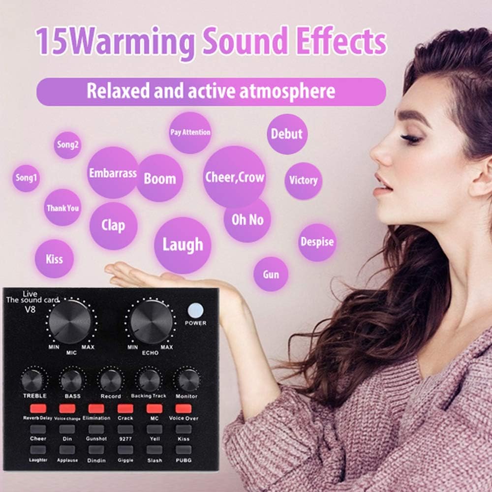 Professional Condenser microphone Bm 800 with V8 sound changer