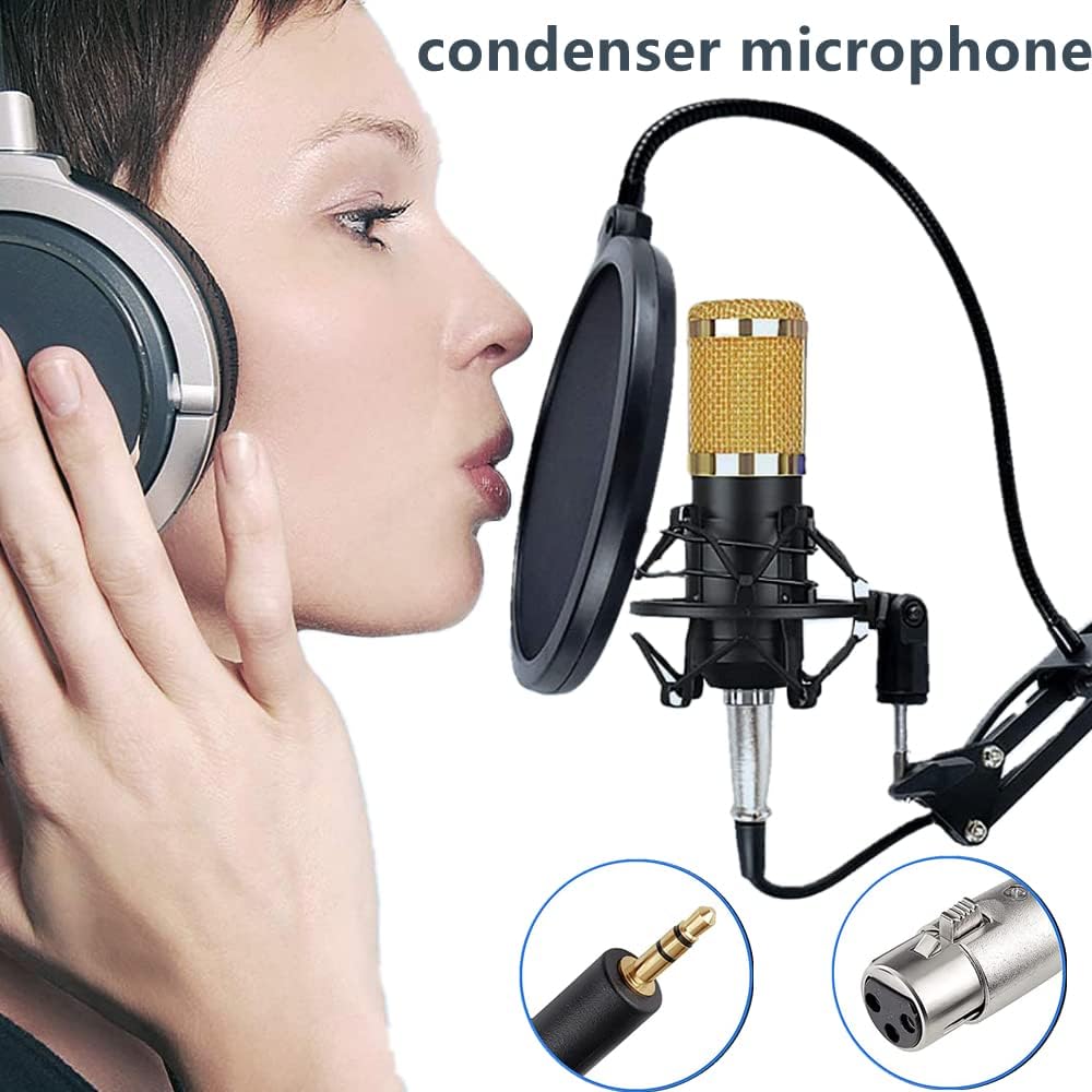 Professional Condenser microphone Bm 800 with V8 sound changer