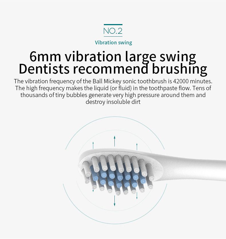 Electric Toothbrush, Rechargeable Power Toothbrush with 4 Brush Heads, with 2 Minute Smart Timer, 6 Modes with Teeth Whitening, Gift for Family