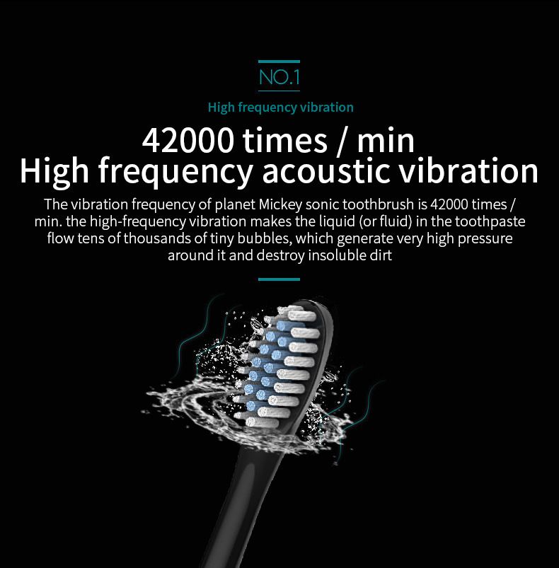 Electric Toothbrush, Rechargeable Power Toothbrush with 4 Brush Heads, with 2 Minute Smart Timer, 6 Modes with Teeth Whitening, Gift for Family