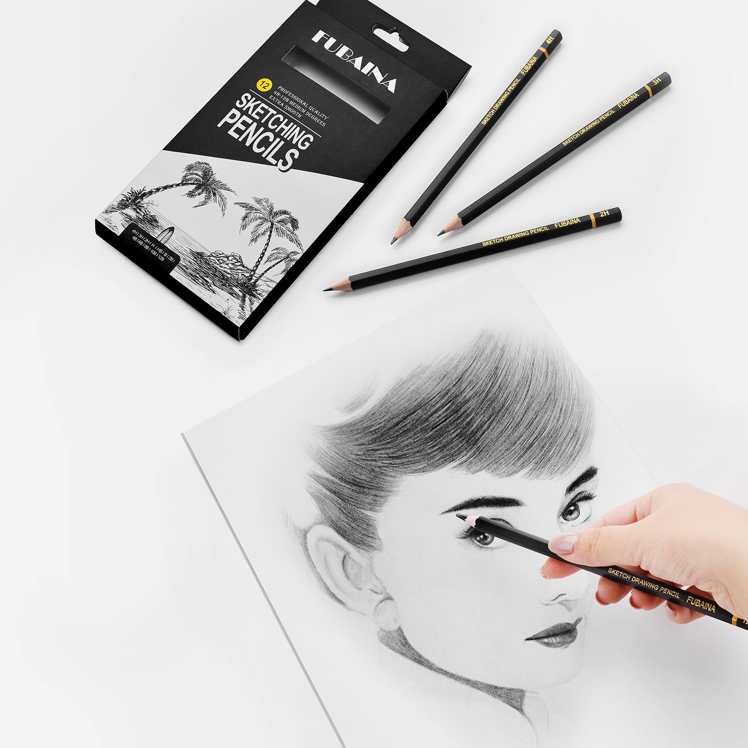 12 Pcs Drawing Sketching Pencil Set Professional (12b - 4h) Graphite Charcoal Gift Bulk for Artists Beginners, Pro Artists, Drawing Art, Sketching
