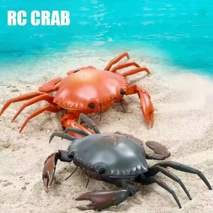 Rechargeable Electric Seafood Lifelike Rc Animal Identification Brain Development Crab Remote Control Crab