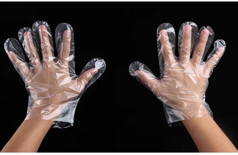 20 Packs Disposable Gloves Individual Packed  Plastic Transparent Gloves