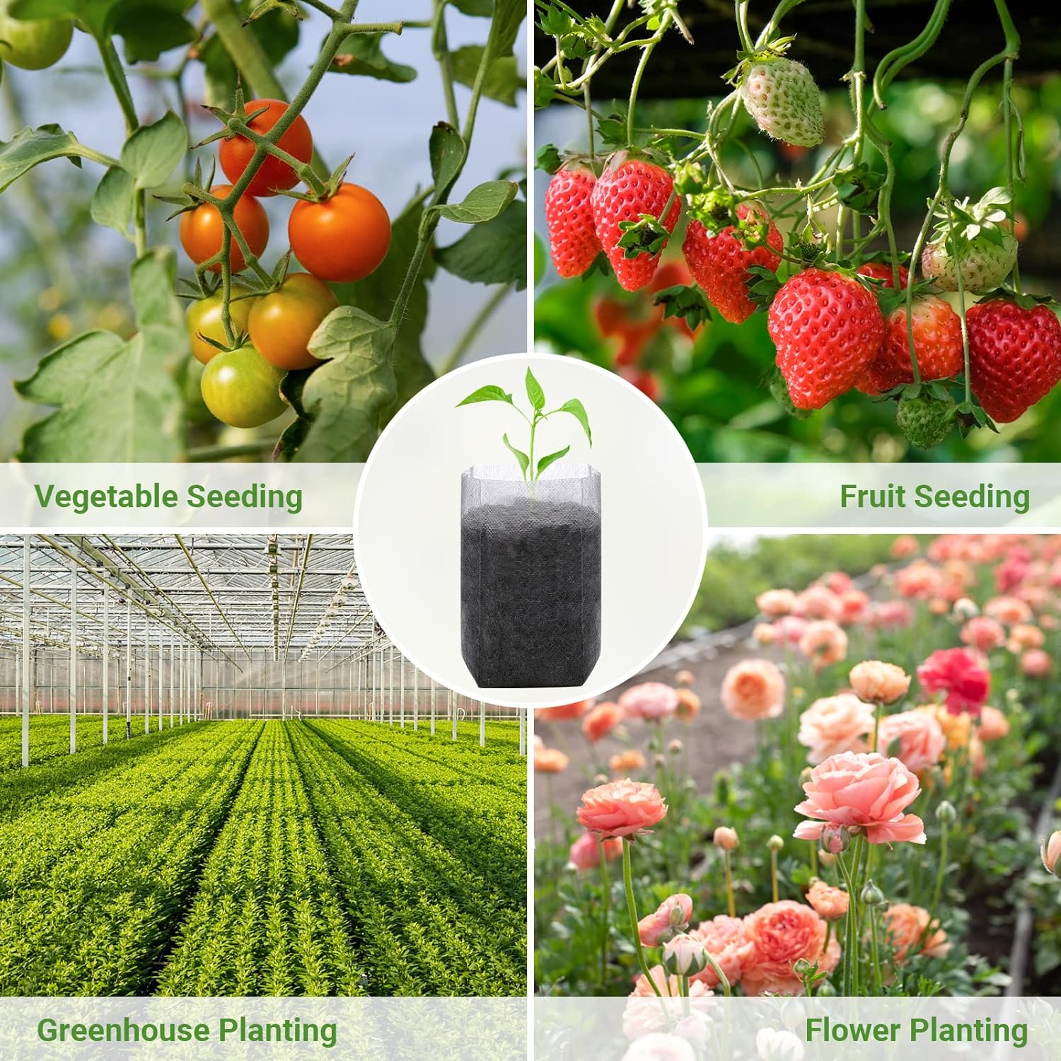 200pcs Biodegradable Plant Bags, (Multiple Sizes Available) Non-Woven Seedling Bags for Planting, Garden Seed Bags, Transplant Pot Plant Bags for Vegetables, Flowers, Indoor and Outdoor