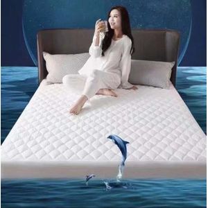 Waterproof Matress Protector And Cover(Without Pillow Cases)
