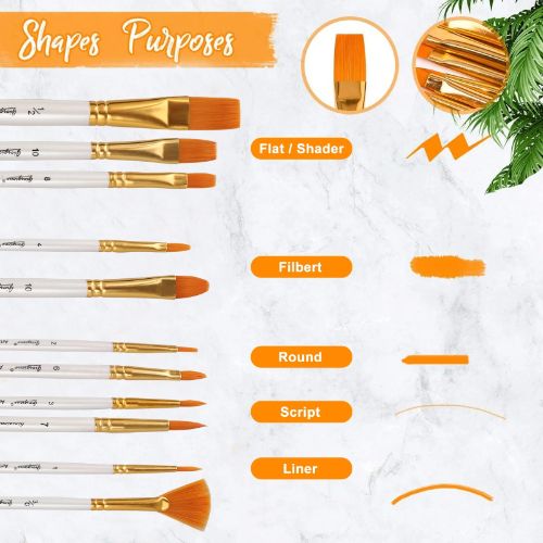 TSV 12 Pcs Artist Acrylic Paint Brushes Set with Nylon Hair for Oil Watercolor Face Nail Art Miniature Detail Rock Painting, Paintbrushes with Full Range of Sizes Shapes, Drawing Supplies