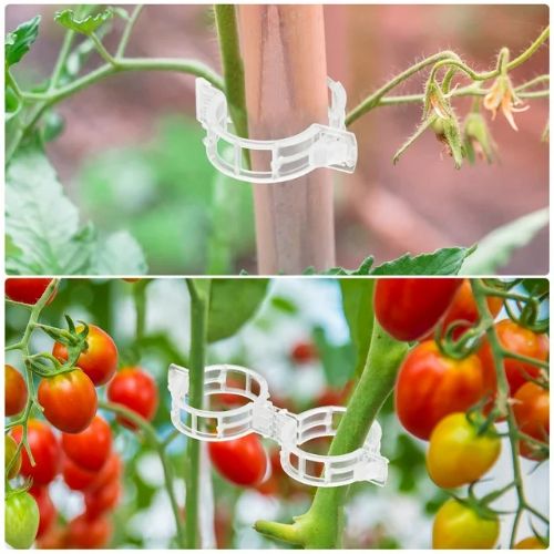 BYLD 200pcs Plant Tomato Clips, Plastic Trellis Clips, Garden Plant Support for Vine, Twine Greenhouse Tomato Veggie Garden Plant Clip, Grow Plants Upright and Make Healthier