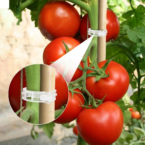 BYLD 200pcs Plant Tomato Clips, Plastic Trellis Clips, Garden Plant Support for Vine, Twine Greenhouse Tomato Veggie Garden Plant Clip, Grow Plants Upright and Make Healthier
