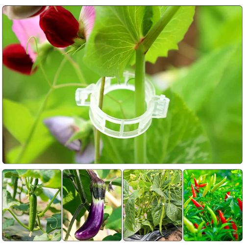 BYLD 100pcs Plant Tomato Clips, Plastic Trellis Clips, Garden Plant Support for Vine, Twine Greenhouse Tomato Veggie Garden Plant Clip, Grow Plants Upright and Make Healthier