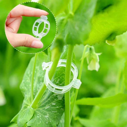 BYLD 100pcs Plant Tomato Clips, Plastic Trellis Clips, Garden Plant Support for Vine, Twine Greenhouse Tomato Veggie Garden Plant Clip, Grow Plants Upright and Make Healthier