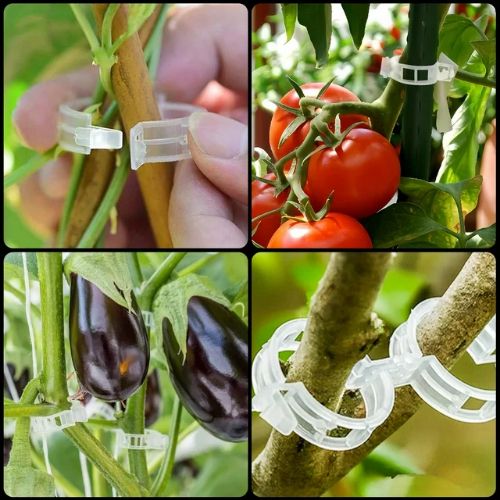 BYLD 100pcs Plant Tomato Clips, Plastic Trellis Clips, Garden Plant Support for Vine, Twine Greenhouse Tomato Veggie Garden Plant Clip, Grow Plants Upright and Make Healthier