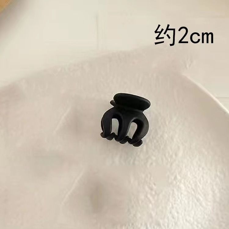 Dried rose petals, high-end hair accessory, braided headband for women 2024 new model, phone line, hair tie, hair tie, temperament