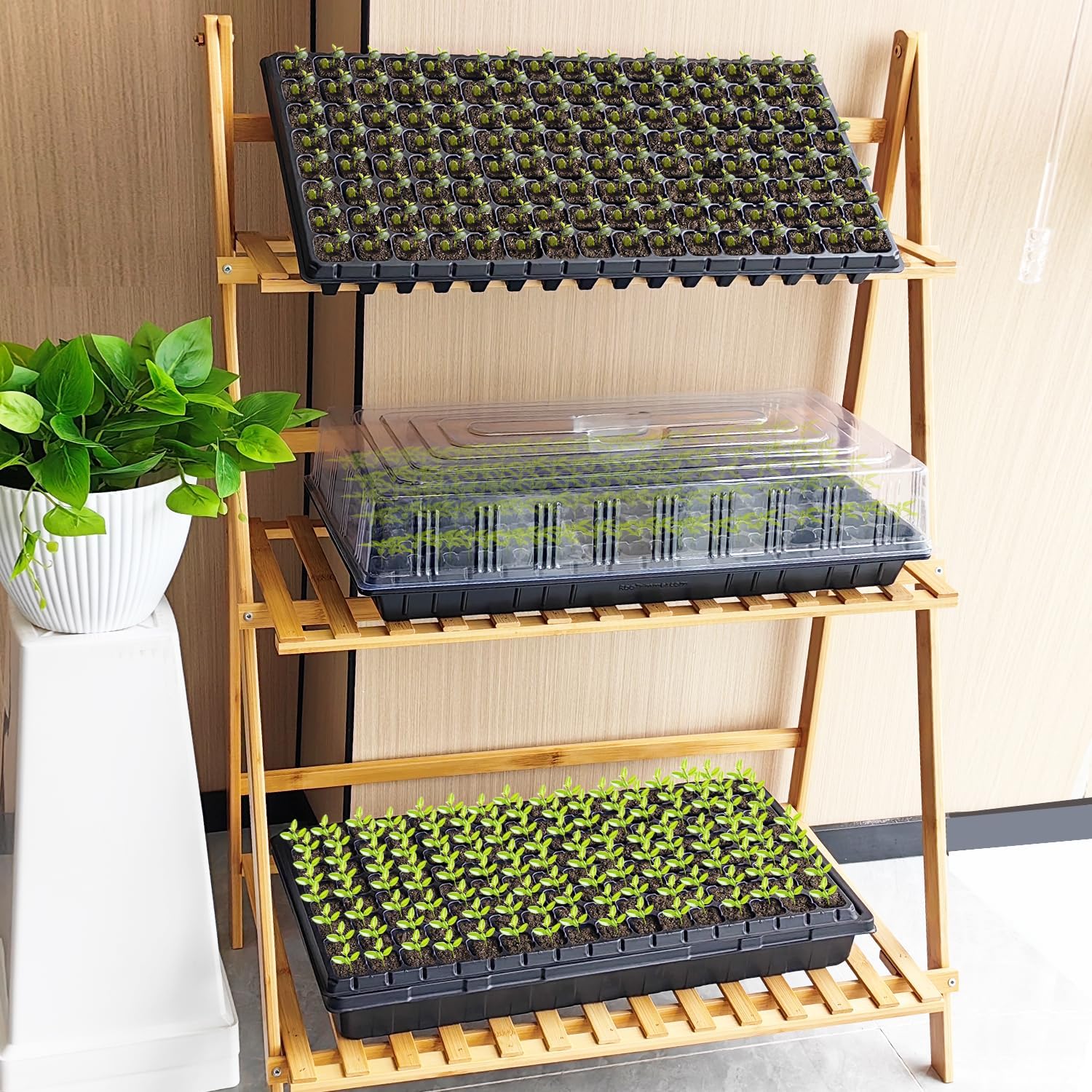 Seedling Tray Starter Germination Plant Propagation