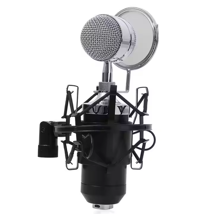 BM-8000 professional recording studio recording condenser wired microphone, recording microphone, broadcast microphone