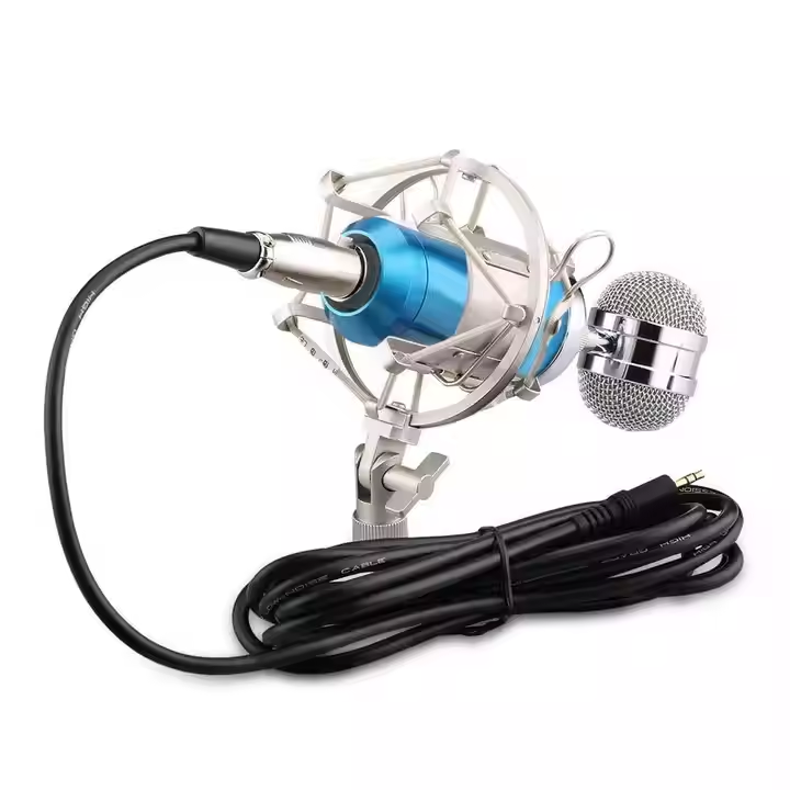 BM-8000 professional recording studio recording condenser wired microphone, recording microphone, broadcast microphone