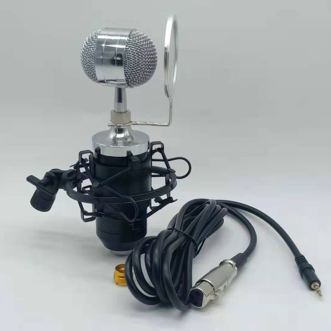 BM-8000 professional recording studio recording condenser wired microphone, recording microphone, broadcast microphone