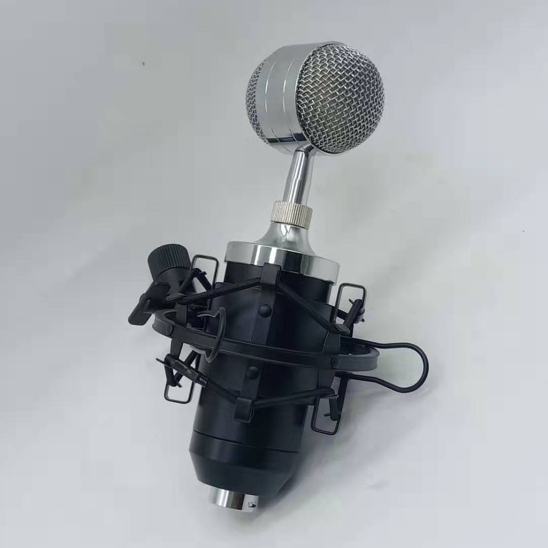 BM-8000 professional recording studio recording condenser wired microphone, recording microphone, broadcast microphone