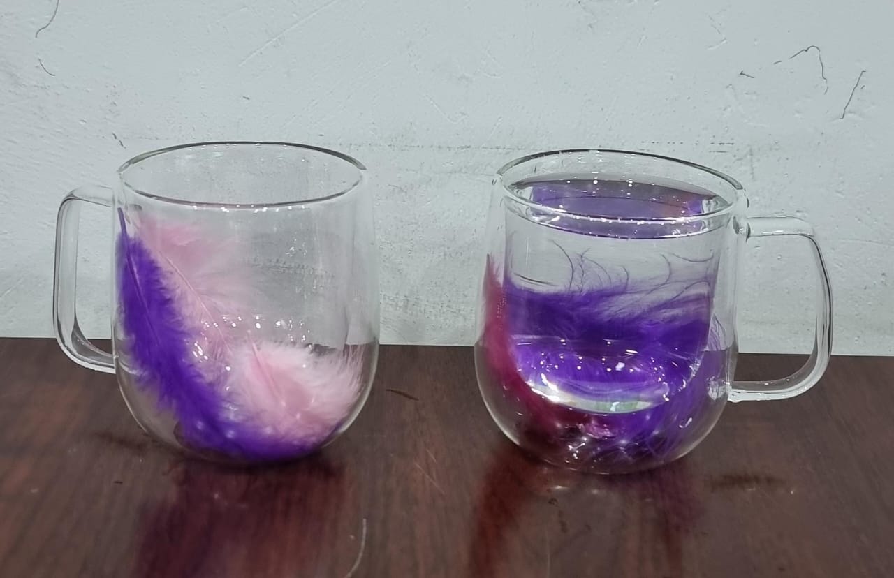 FLOWER/ FEATHER MUGS DOUBLE WALL GLASS COFFEE MUGS CLEAR CUPS FOR CAPPUCCINO TEA ESPRESSO LATTE HOT BEVERAGES GLASSES BIRTHDAY GIFTS FOR WOMEN HER
