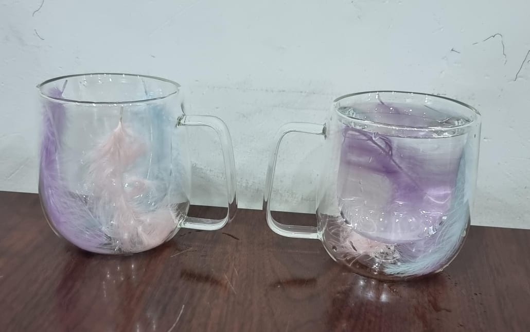 FLOWER/ FEATHER MUGS DOUBLE WALL GLASS COFFEE MUGS CLEAR CUPS FOR CAPPUCCINO TEA ESPRESSO LATTE HOT BEVERAGES GLASSES BIRTHDAY GIFTS FOR WOMEN HER