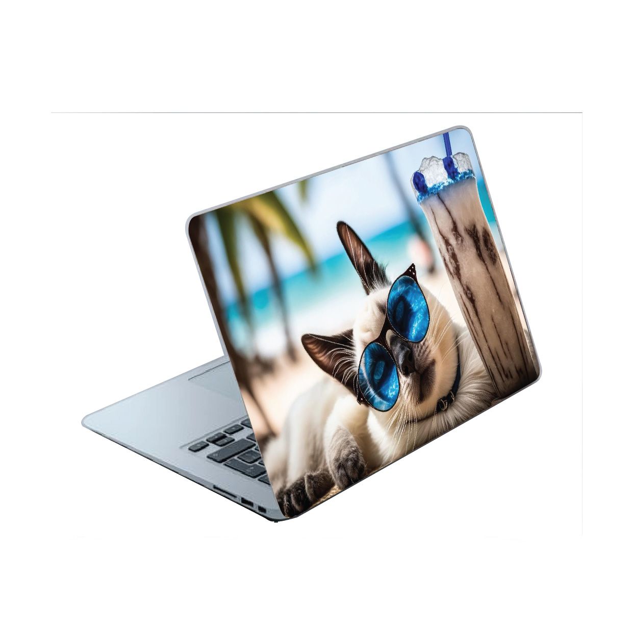 The Chronicle of Covers: LAPTOP SKIN WRAP/COVER/STICKER for sizes 11" to 15.6" | Compelling Style for Every UserUser