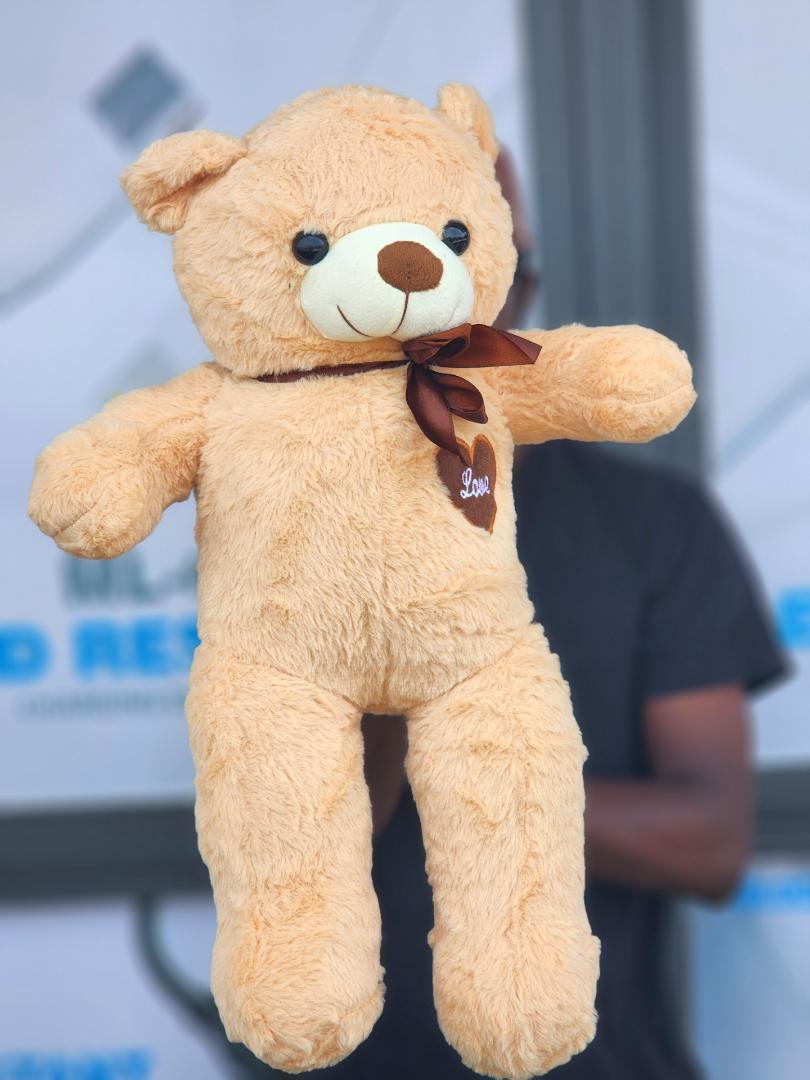 New teddy bear (love). Attractive colours and has a soft feel making it very comfy .50cm,elegant teddy bear Cute valentine's gift birthday gift for bae or loved one teddy bear Orange