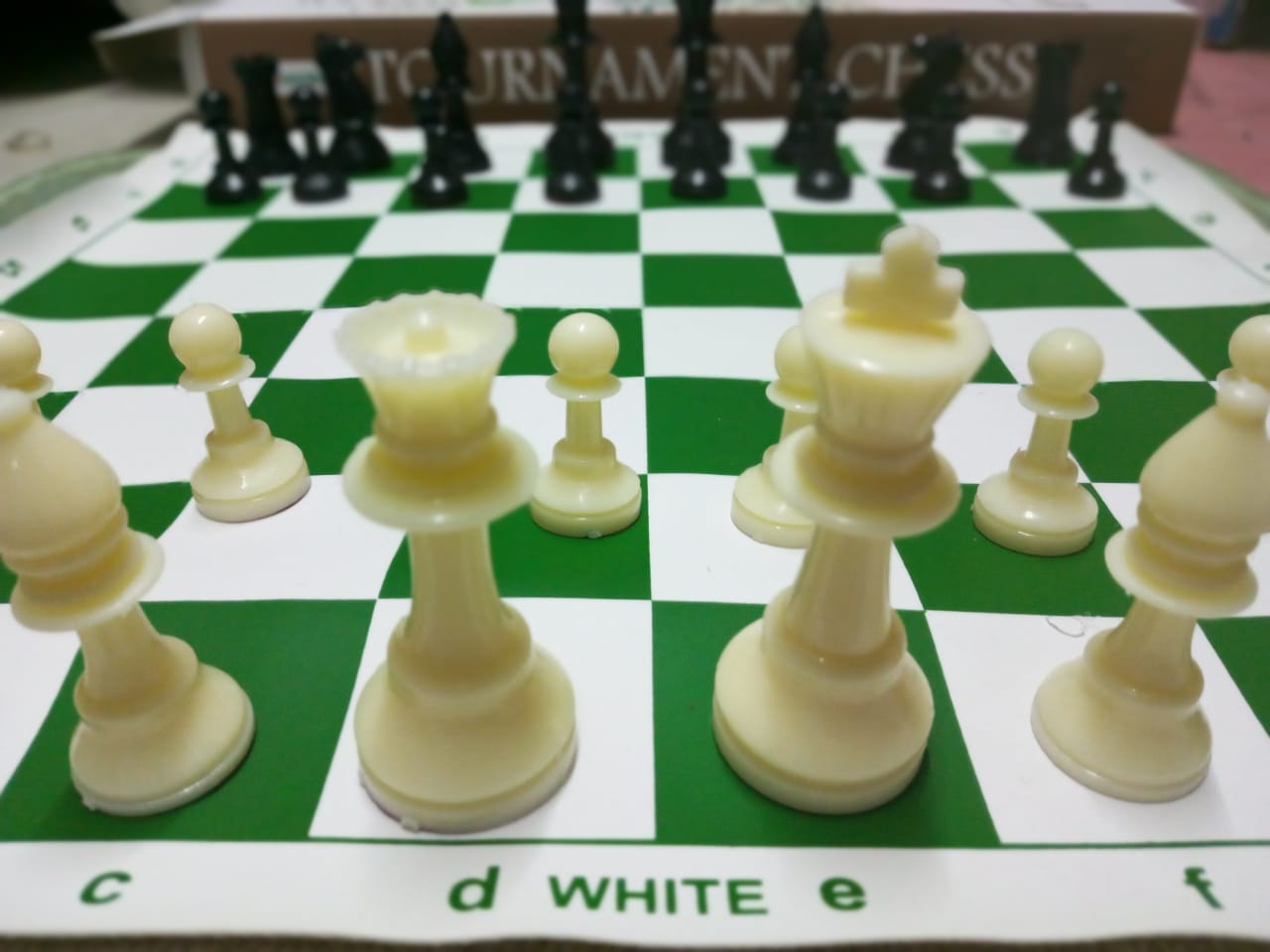 Portable Tournament Chess Board Game Mat+FREE Carrier Bag