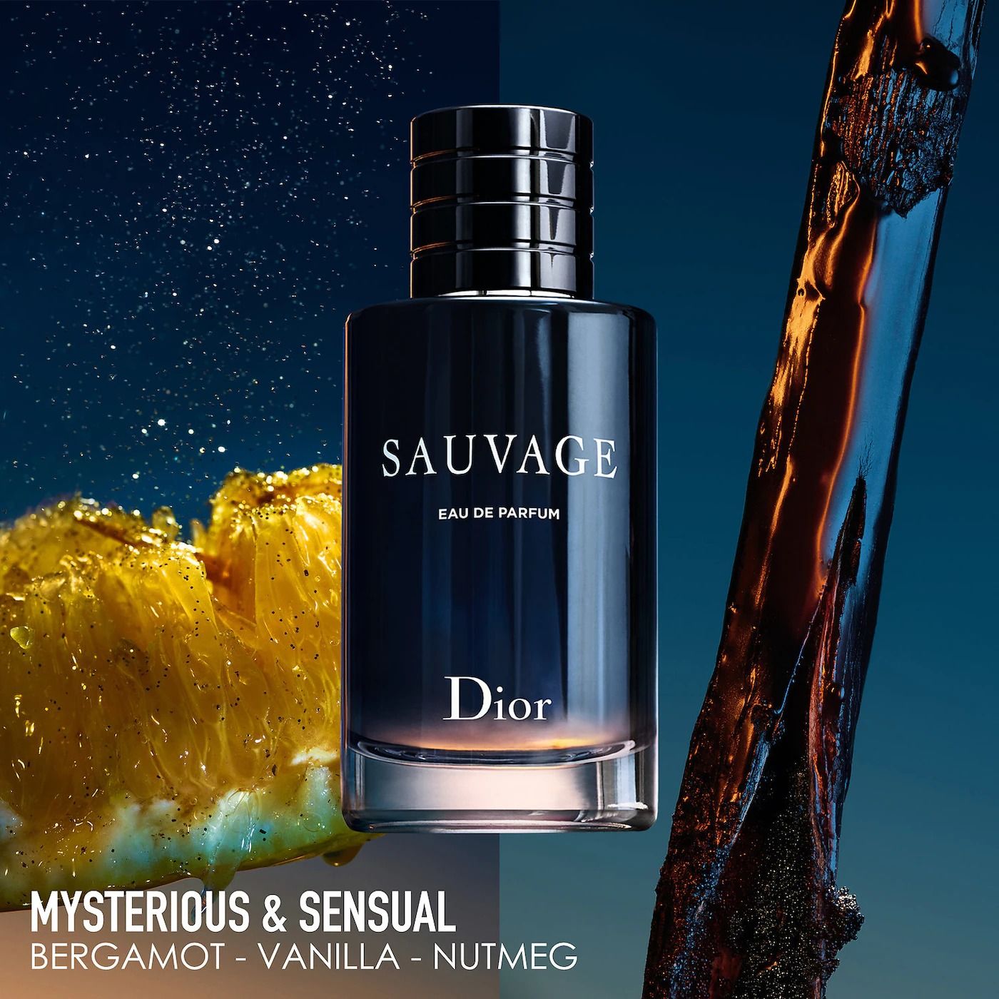 Dior Sauvage Eau de Parfum Christian Sauvage Dior 100ML Perfume for Men