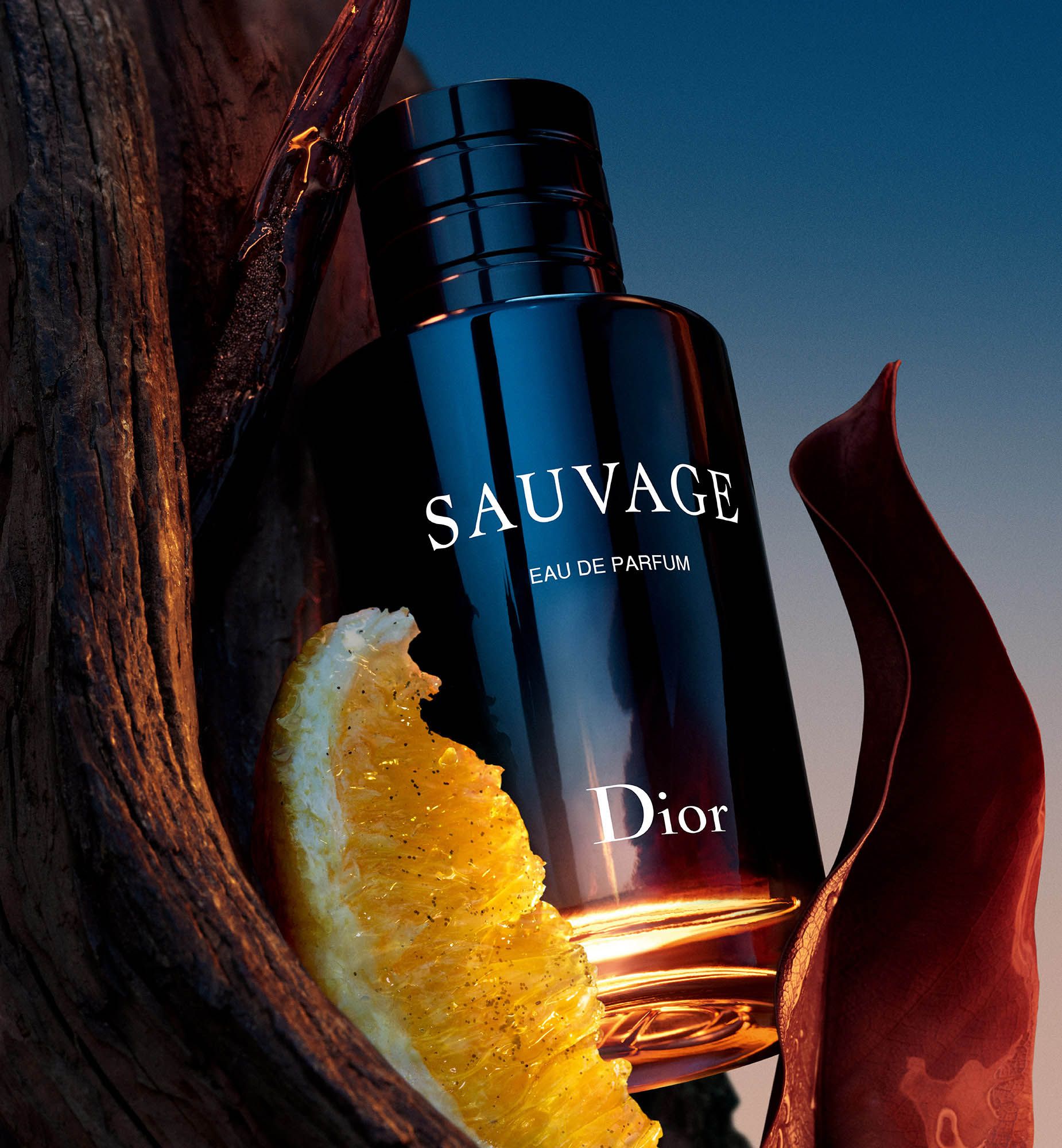 Dior Sauvage Eau de Parfum Christian Sauvage Dior 100ML Perfume for Men