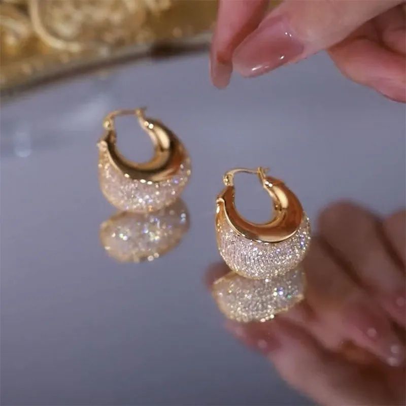 Mesh shaped crystal earrings for women, with a luxurious and high-end feel. Internet famous earrings, 2025 new trend, unique temperament, silver needle earrings