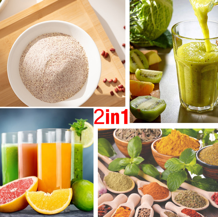 EM Blender 2-in-1 ElectroMate 1.6L Blender Classic Juicer & Grinder with Multifunctional Jug, Bottle, and Garlic Processor ElectroMate