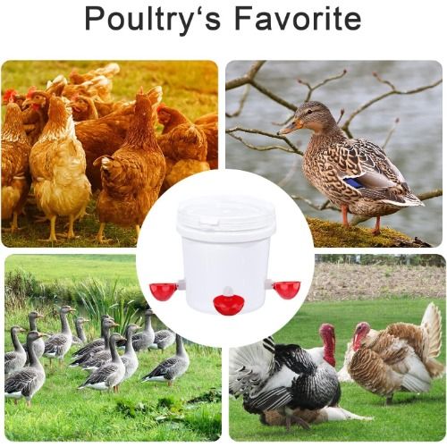 Professional Chicken Waterer Cups, 8 Packs Large Chicken Water Feeder, Tee Fittings Poultry Waterer Suitable for Duck, Chicks, Goose, Turkey, Bunny and Bird with Mounting Hole Opener