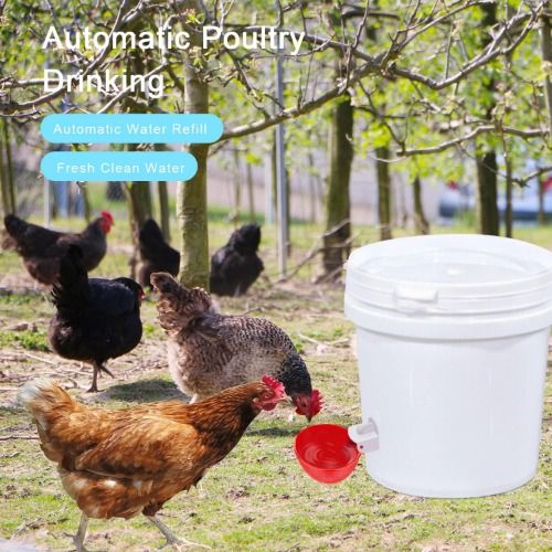 Professional Chicken Waterer Cups, 8 Packs Large Chicken Water Feeder, Tee Fittings Poultry Waterer Suitable for Duck, Chicks, Goose, Turkey, Bunny and Bird with Mounting Hole Opener