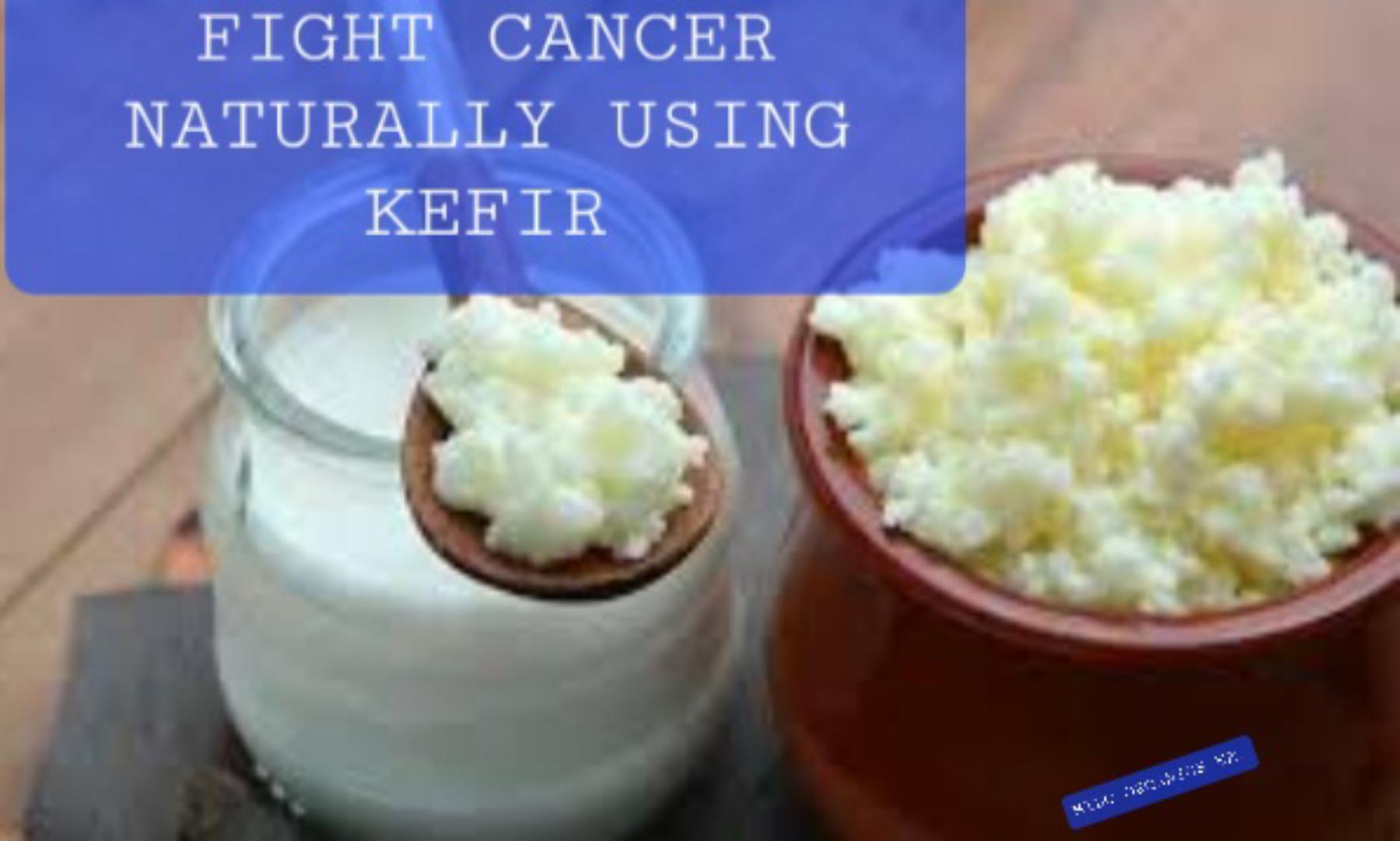 [15gm/1TBS]LIVE ORGANIC KEFIR GRAINS(1 TBSP)