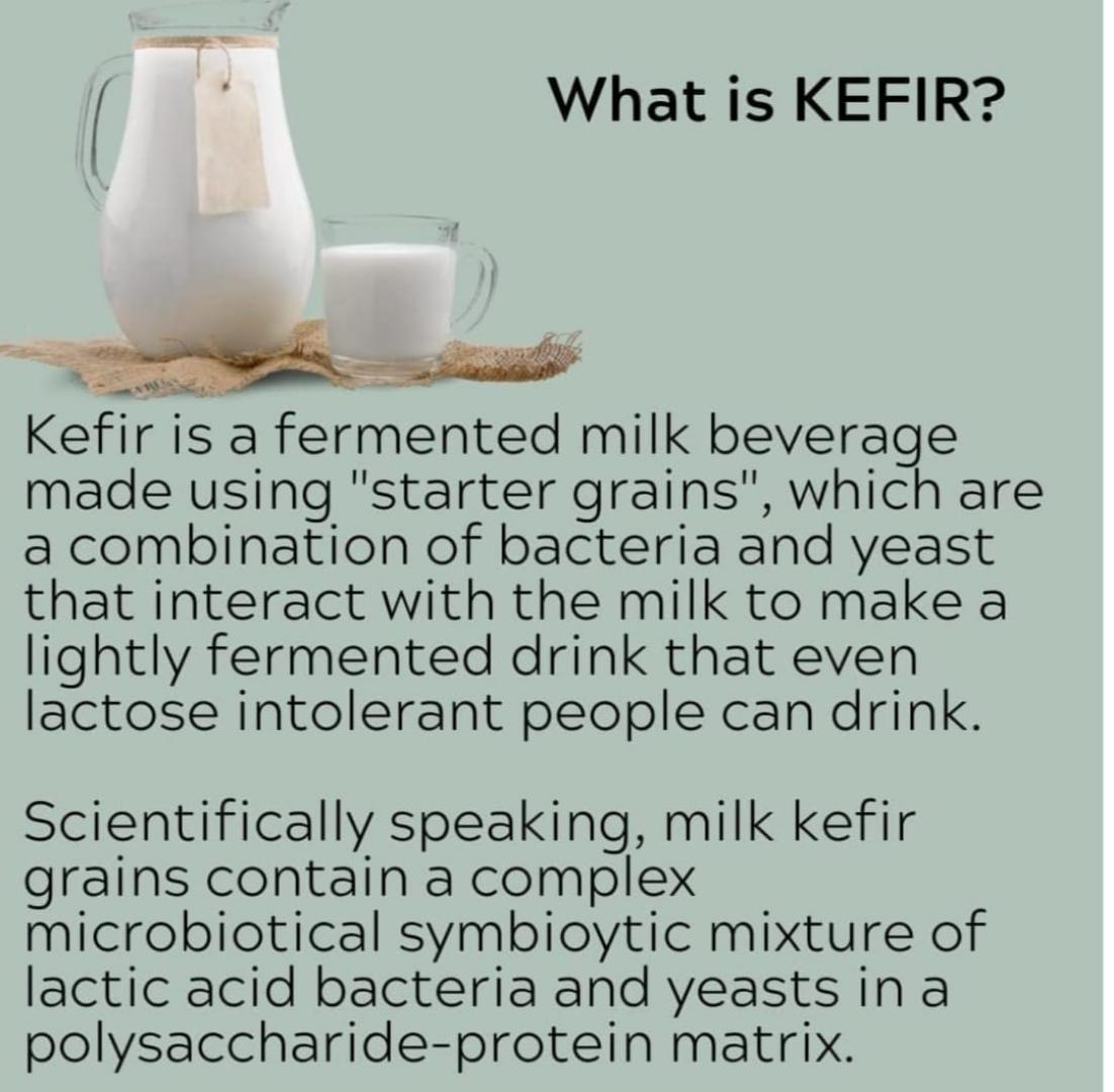 [15gm/1TBS]LIVE ORGANIC KEFIR GRAINS(1 TBSP)
