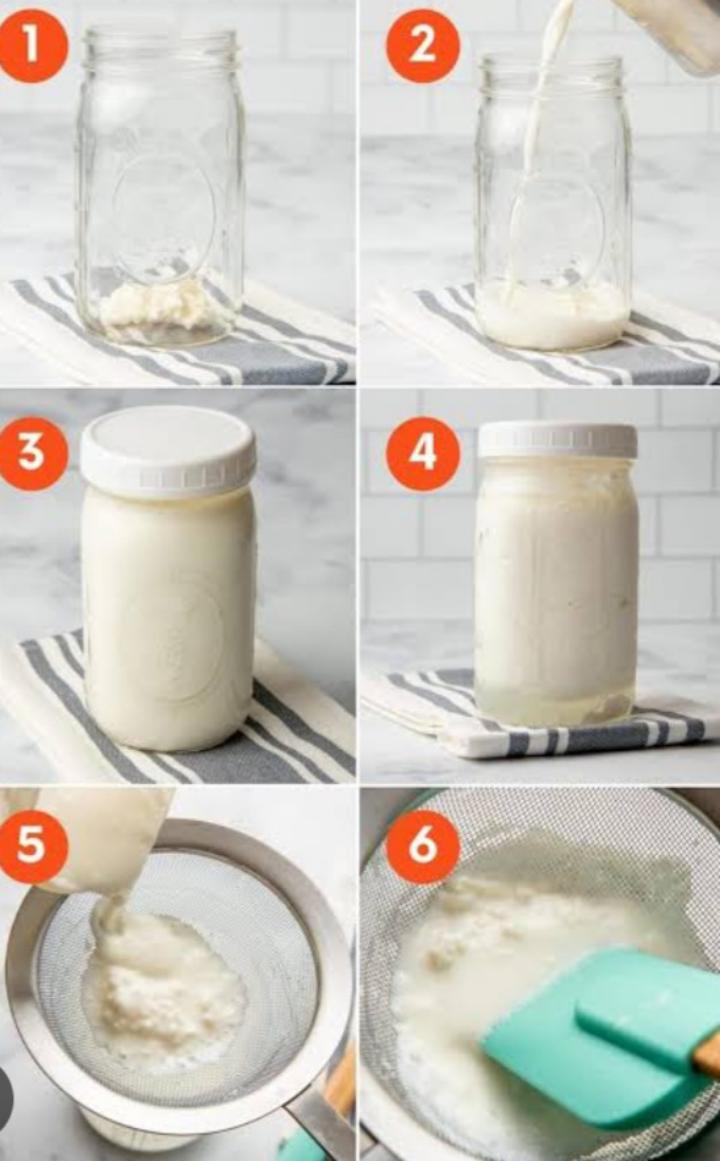 [15gm/1TBS]LIVE ORGANIC KEFIR GRAINS(1 TBSP)