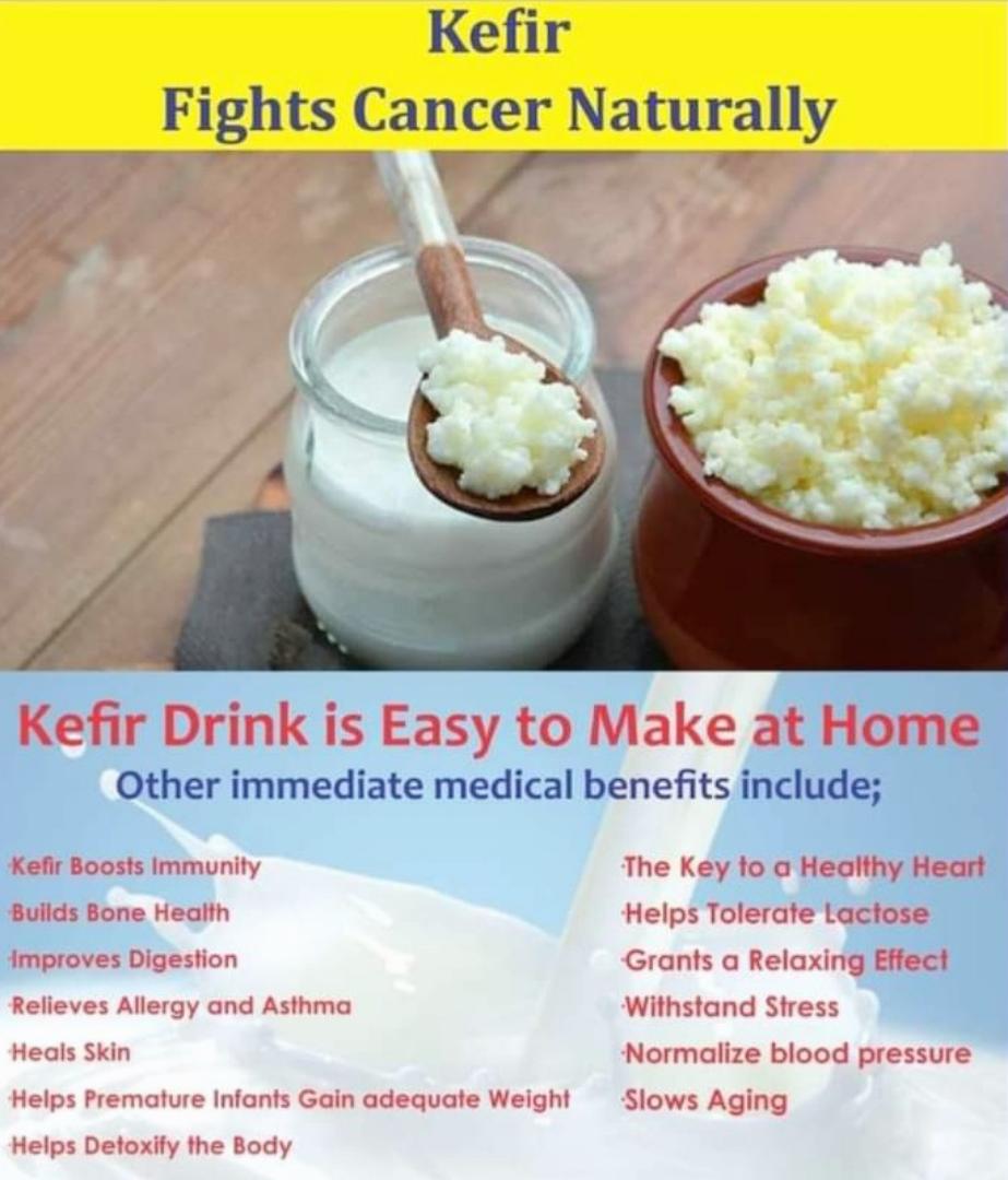 [15gm/1TBS]LIVE ORGANIC KEFIR GRAINS(1 TBSP)