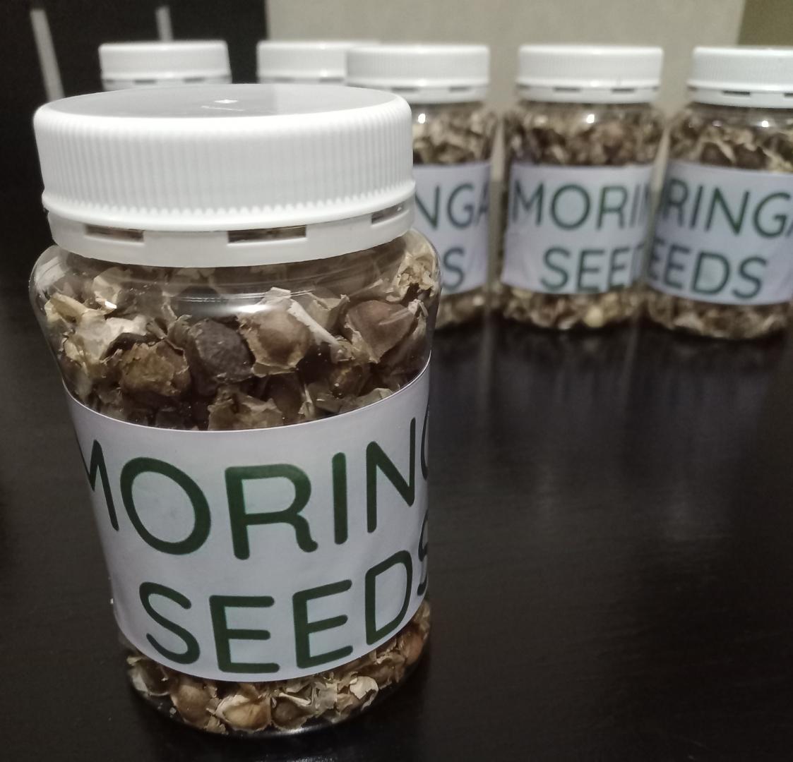 100%ORGANIC AND EDIBLE MORINGA SEEDS.