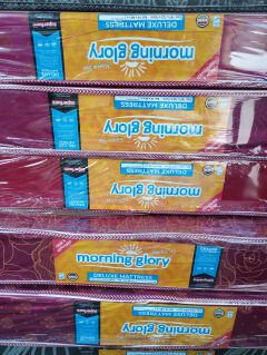 4×6×6 inch plain morning glory superfoam mattress