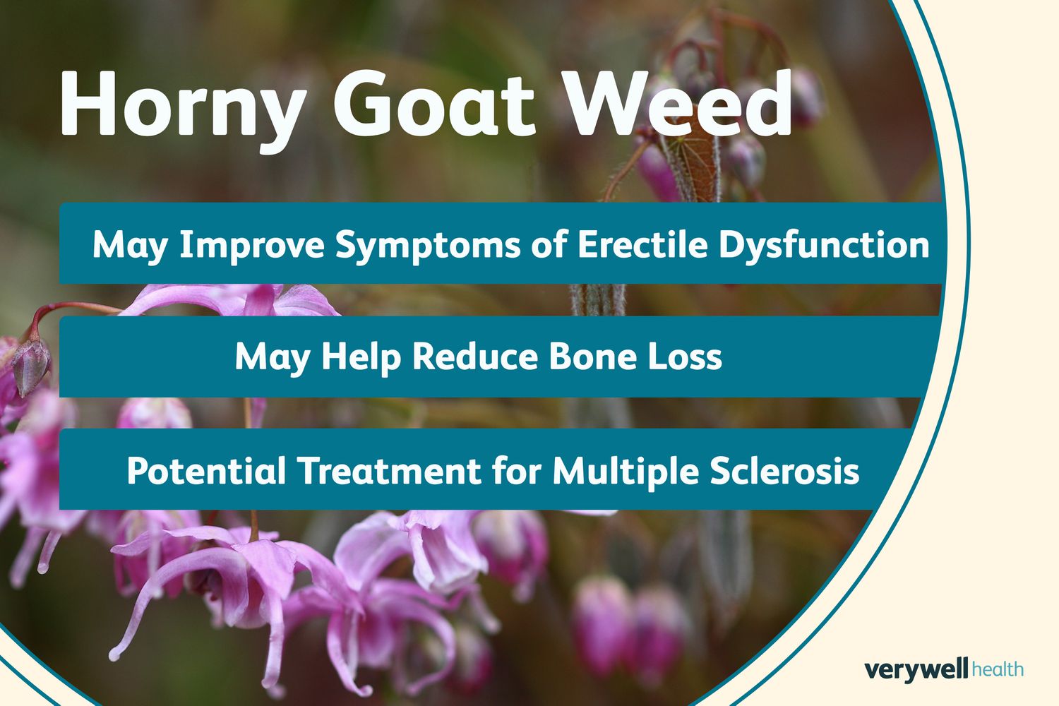 Libido Booster Coffee & Stronger & Harder Erections 
 - 100% Organic Black Maca | Horny Goat Weed