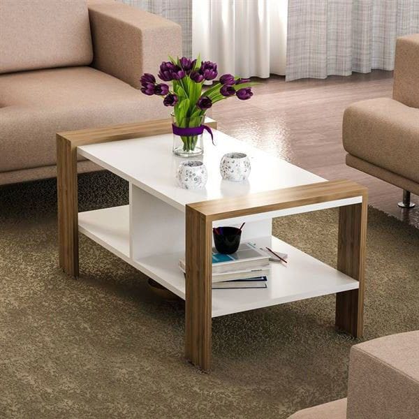 Biva Modern Design Coffee Table