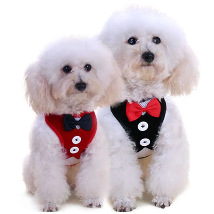 Harness and Leash Set Breathable Pet Harness Vest Mesh Dress Bow Chest Belt Collar For Dog Rabbit