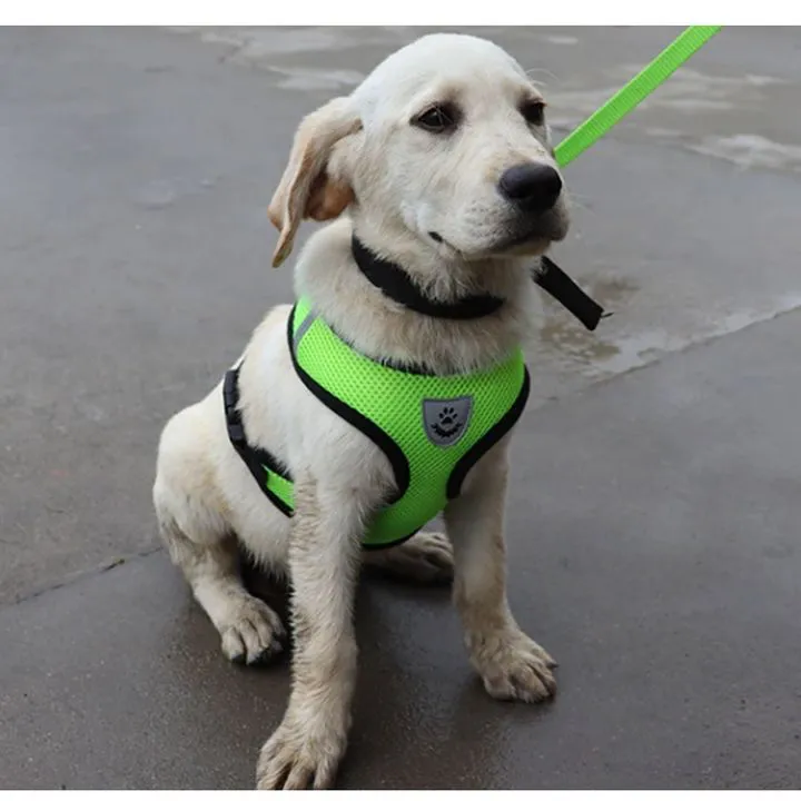 Dog Harness with Leash Set Adjustable Padded Dog Harness Set Super Durable Dog Vest Harness