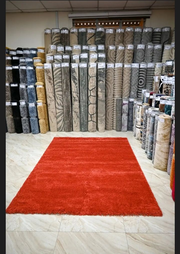 Super Soft 4X6 Burnt Orange Living Room Area Rugs,Modern Indoor Large Shaggy Non-Slip Floors Rug,High Quality Egyptian Carpets for Bedroom Furry Plush Carpets, Kids Room, Home Nursery Decorative