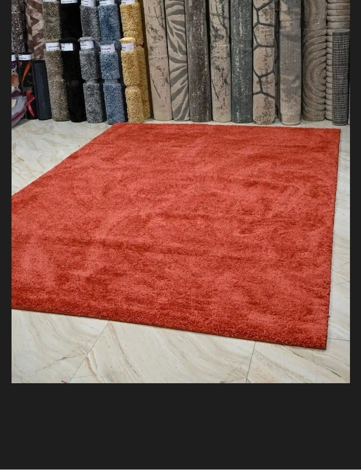 Super Soft 4X6 Burnt Orange Living Room Area Rugs,Modern Indoor Large Shaggy Non-Slip Floors Rug,High Quality Egyptian Carpets for Bedroom Furry Plush Carpets, Kids Room, Home Nursery Decorative