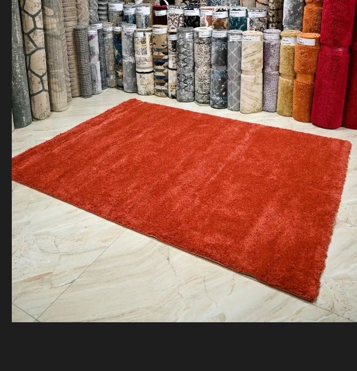 Super Soft 4X6 Burnt Orange Living Room Area Rugs,Modern Indoor Large Shaggy Non-Slip Floors Rug,High Quality Egyptian Carpets for Bedroom Furry Plush Carpets, Kids Room, Home Nursery Decorative